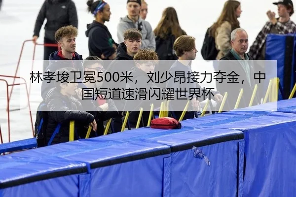 lin-xiao-jun-wei-mian-mi-liu-shao-ang-jie-li-duo-jin-zhong-guo-duan-dao-su-hua-shan-yao-shi-jie-bei-2-507.jpg