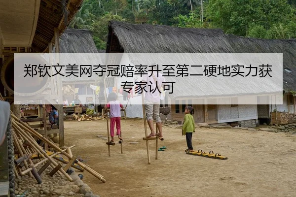 郑钦文美网夺冠赔率升至第二硬地实力获专家认可