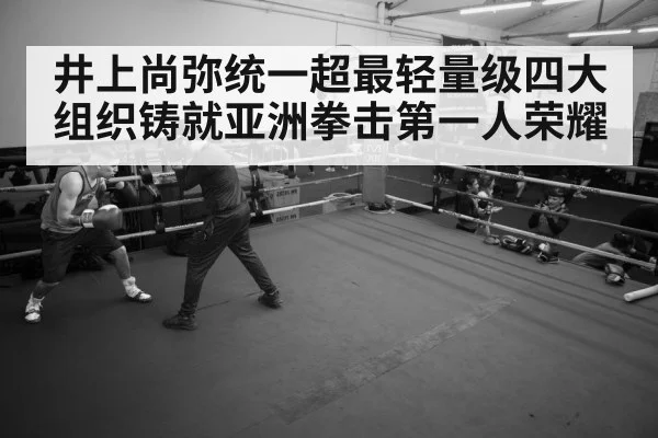 boxer training gym